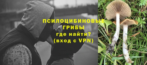 ешки Волосово