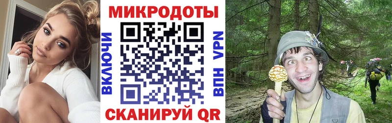 где найти наркотики  Назарово  Псилоцибиновые грибы прущие грибы 